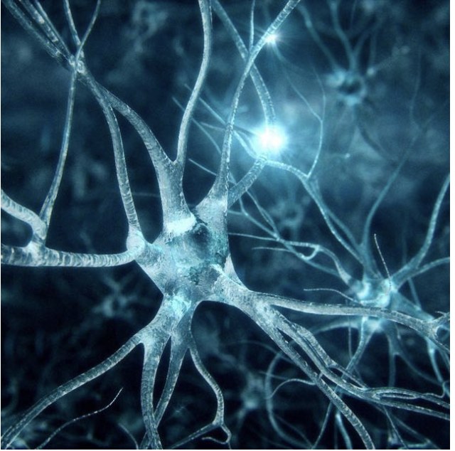 Anandamide website homepage design